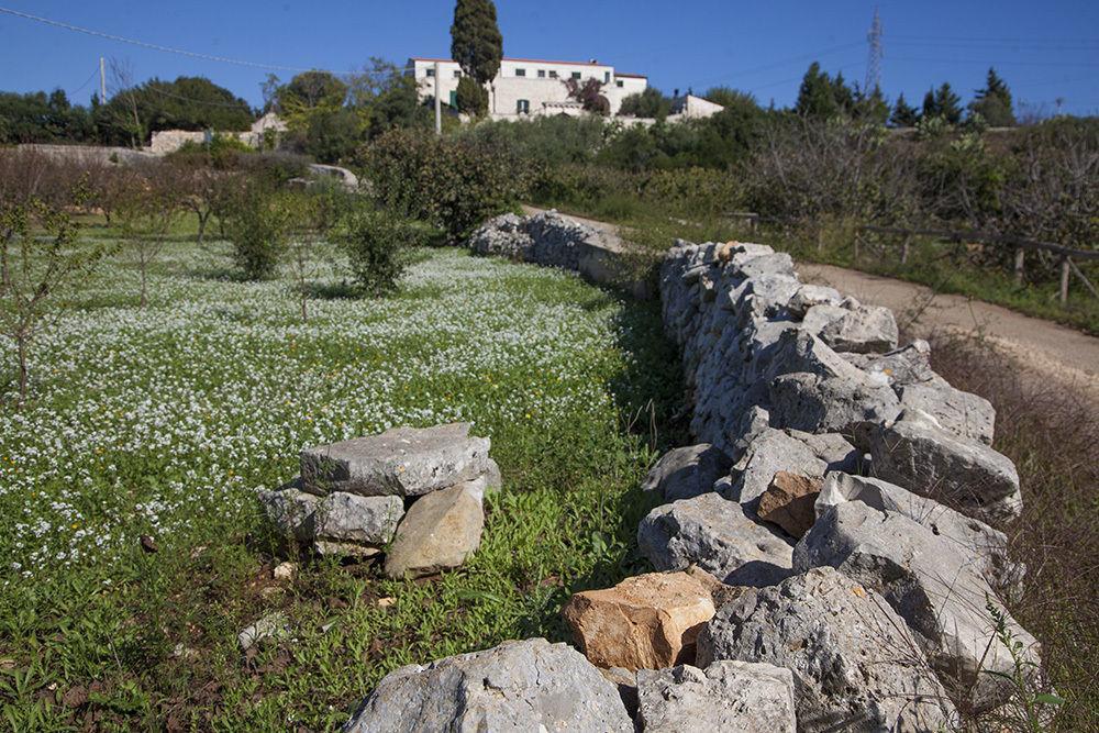 Masseria Montepaolo Dimora Di Charme Hotel Conversano Exterior photo