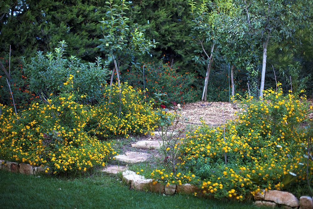 Masseria Montepaolo Dimora Di Charme Hotel Conversano Exterior photo